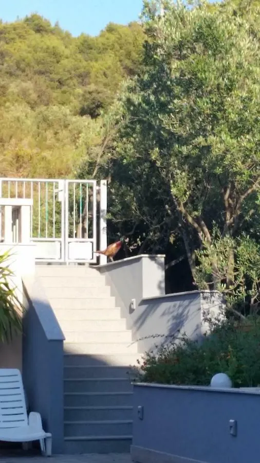 Summer Rental House 