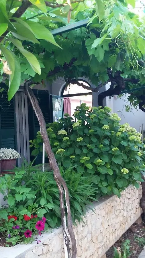 Summer Rental House 
