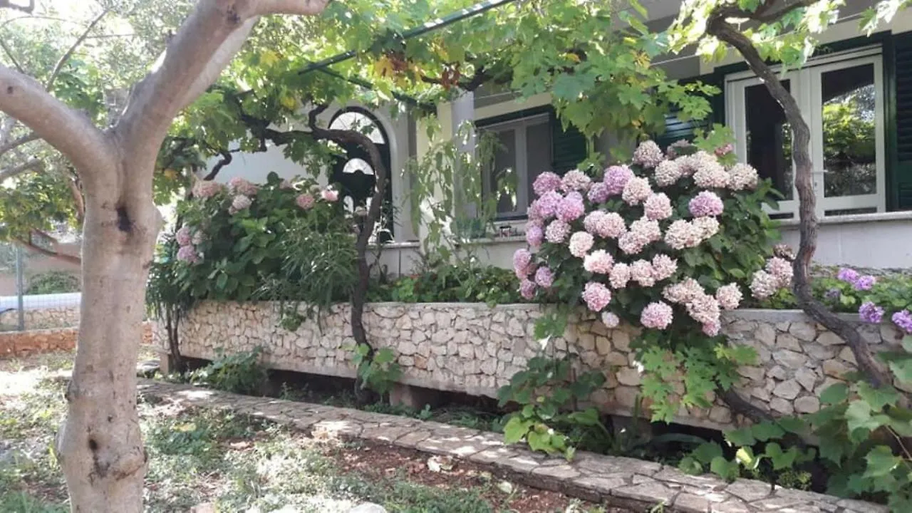 Apartment Summer Rental House 
